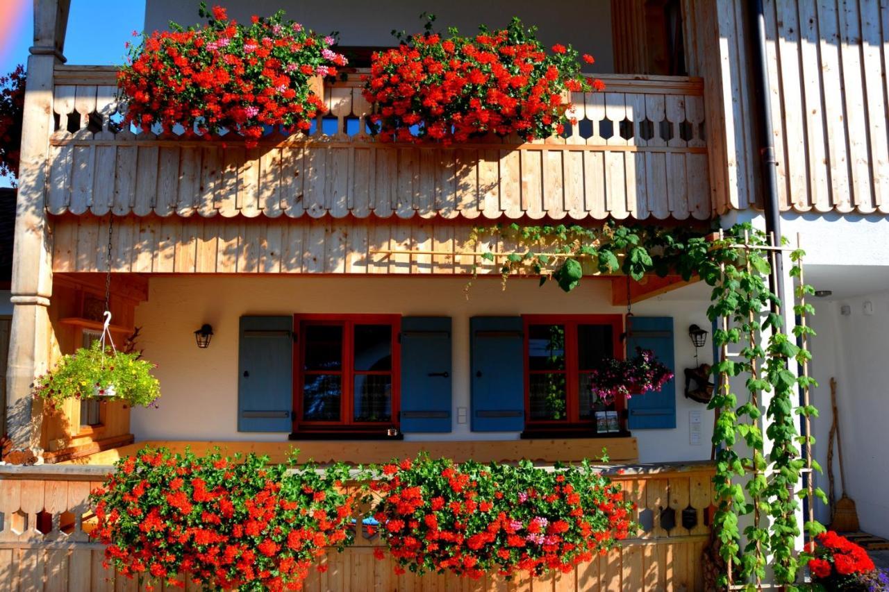 Gaestehaus Wild-Schuetz Bed & Breakfast Schwangau Exterior photo