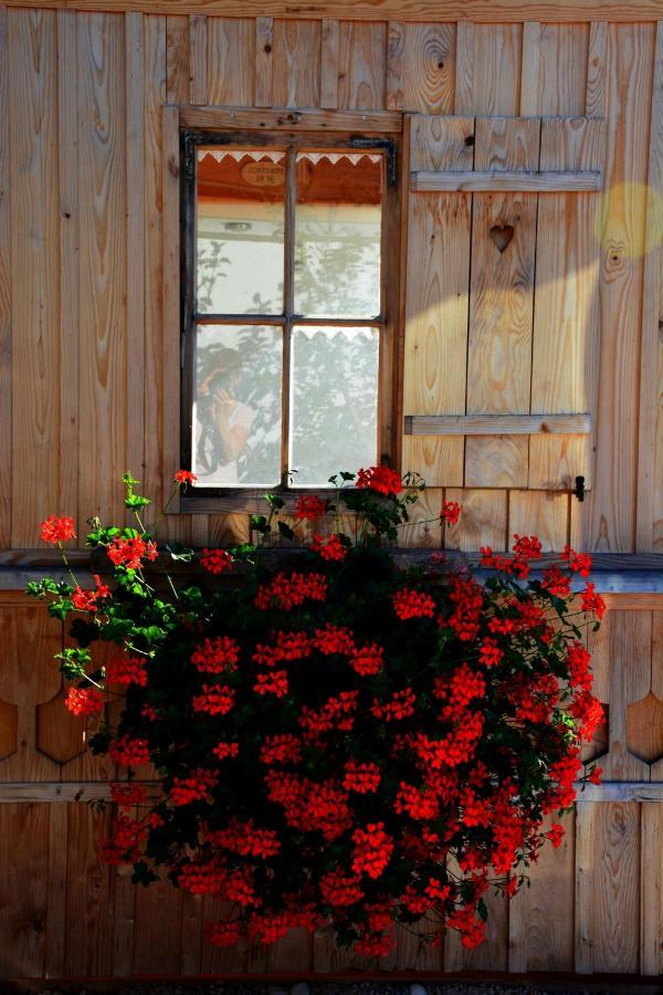 Gaestehaus Wild-Schuetz Bed & Breakfast Schwangau Exterior photo